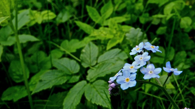 DSCN1377