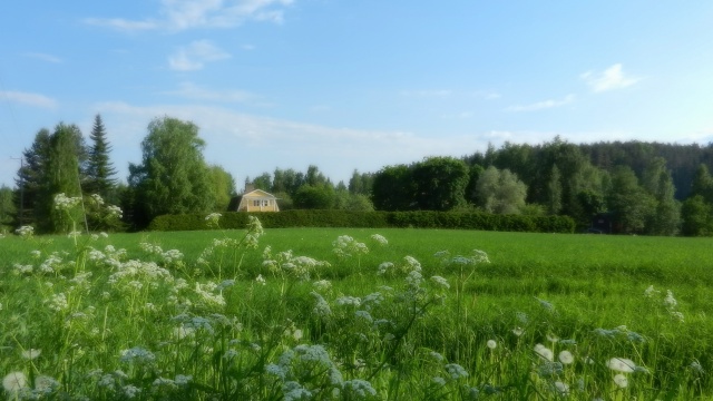 DSCN1595