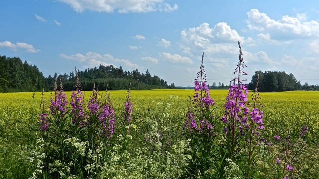 DSCN2088