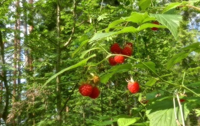DSCN2820