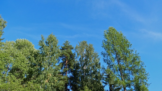 DSCN4005