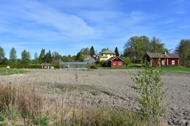 DSC_1689