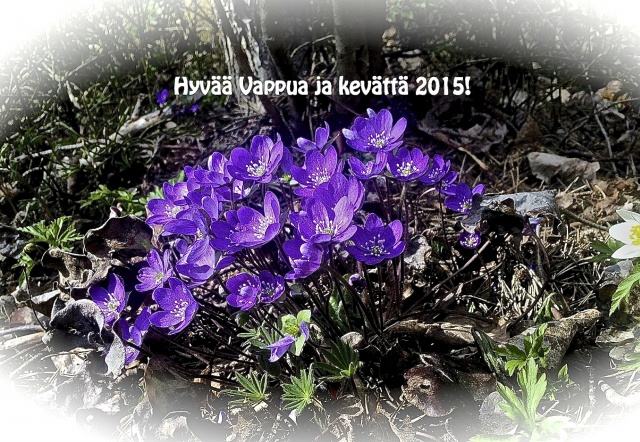 Hyvää Vappua sivuille jp 15