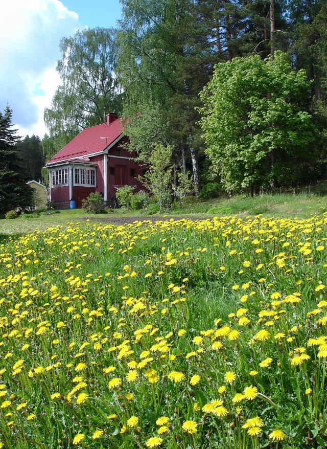 KUVAT tpltä 201207 - 0344