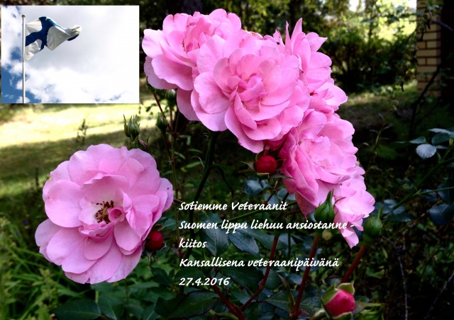 Lippu jp Veteraani pvnä 27042016