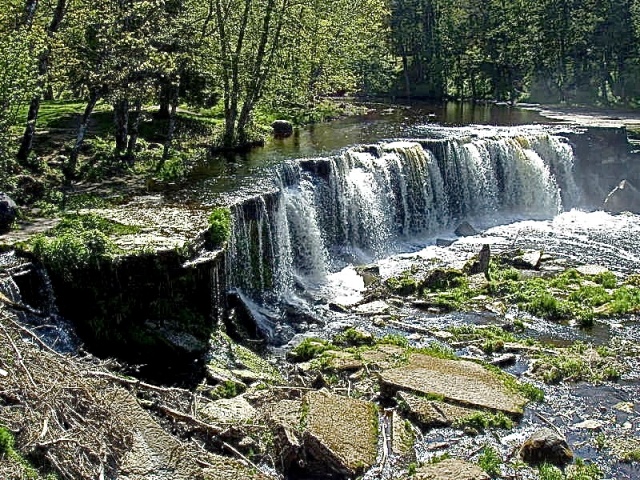 P1010022