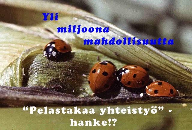 Päätoimittaja, eläkkeellä, Ari Valjakka nosti esiin, Helsingin Sanomat / Mielipide 22.2.2013, 