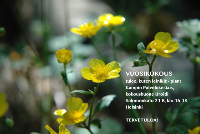 VUOSIKO 16 sivuille (1)
