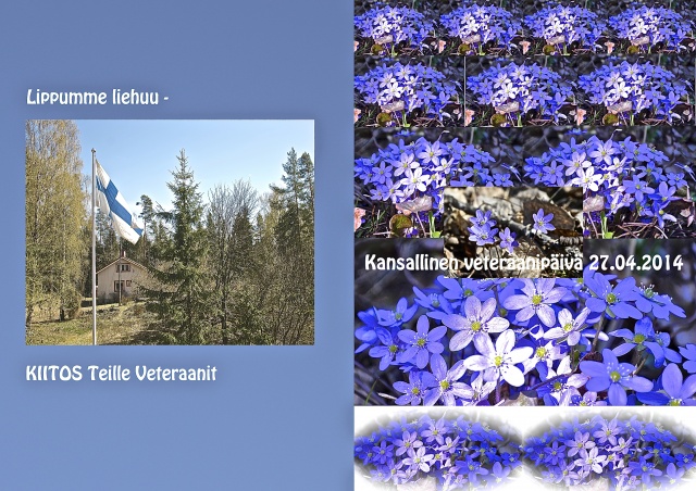 Veteraanipäiv PDF 14 Mikkeli
