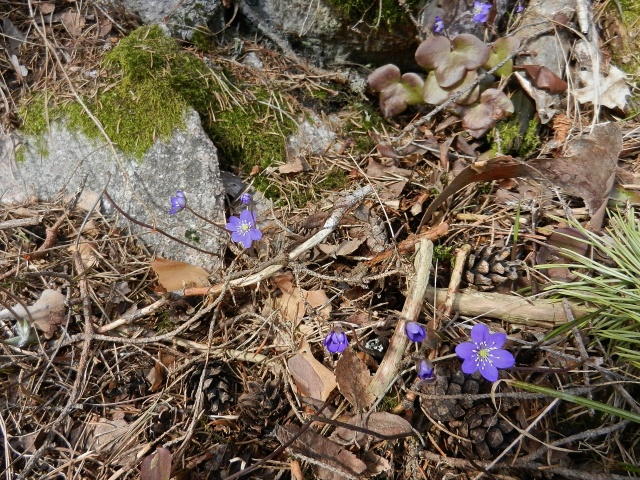 DSCN0574